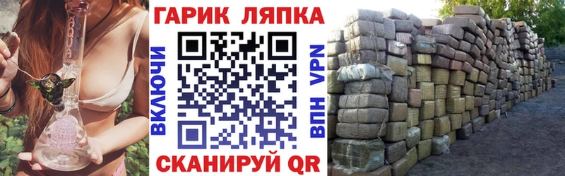 ГАШ гарик  Плёс 