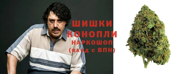 мдпв Волосово