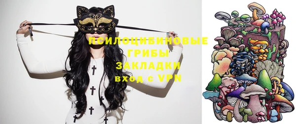 мдпв Волосово