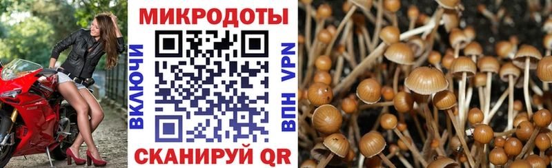OMG ссылка  Плёс  Псилоцибиновые грибы GOLDEN TEACHER 